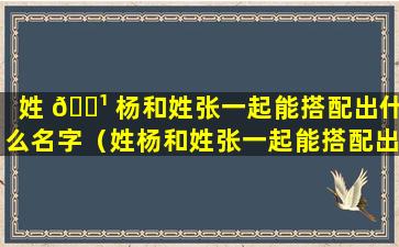 姓 🌹 杨和姓张一起能搭配出什么名字（姓杨和姓张一起能搭配出什么名字做网名）